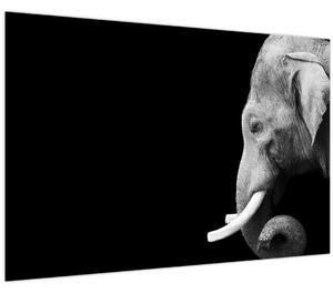 Tablou - Elefant (90x60 cm)