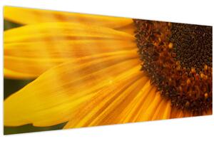 Tablou - Floarea-soarelui (120x50 cm)