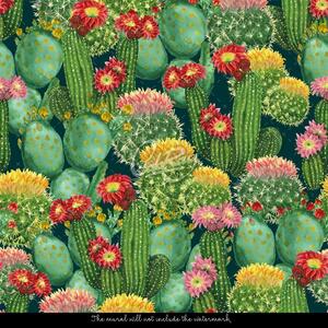 Fototapet Cacti fabuloși