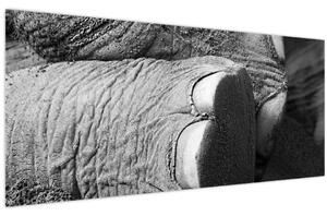 Tablou - Picior de elefant (120x50 cm)