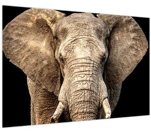 Tablou - Elefant african (90x60 cm)