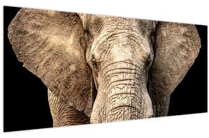 Tablou - Elefant african (120x50 cm)