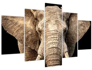 Tablou - Elefant african (150x105 cm)