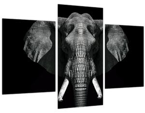 Tablou - Elefant pe fundal negru (90x60 cm)