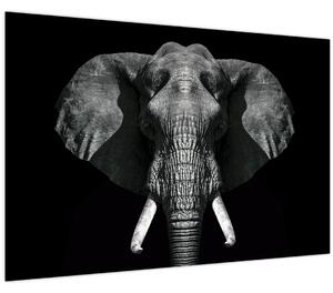 Tablou - Elefant pe fundal negru (90x60 cm)