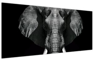 Tablou - Elefant pe fundal negru (120x50 cm)