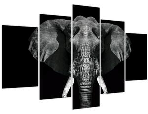 Tablou - Elefant pe fundal negru (150x105 cm)