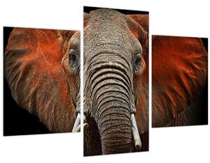 Tablou - Elefanți cu Tsavo (90x60 cm)