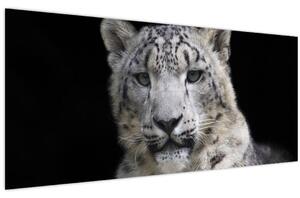 Tablou - Snow Leopard (120x50 cm)