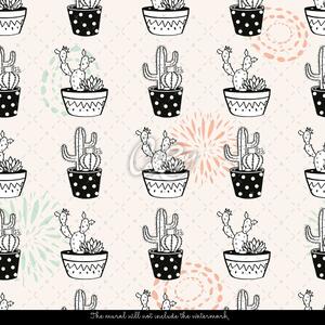 Fototapet Cactusi veseli in ghivece