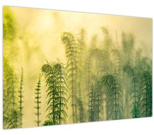 Tablou - Detaliu de primăvară natura cețoasă (90x60 cm)