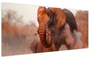 Tablou - Marele elefant african (120x50 cm)