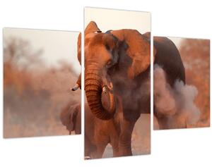 Tablou - Marele elefant african (90x60 cm)