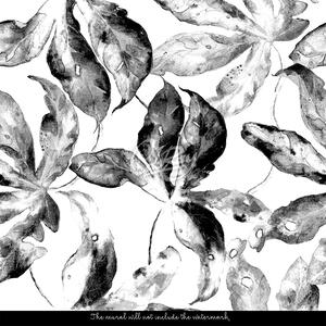Fototapet Frunze în alb și negru