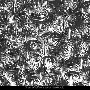 Fototapet Nuanta linistitoare de palmier