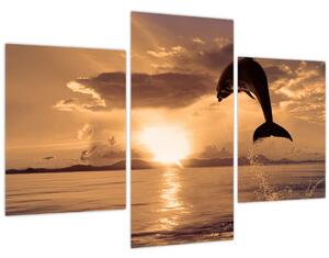 Tablou - Delfin la apus de soare (90x60 cm)