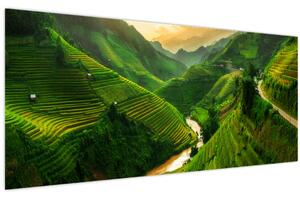Tablou - Terase de orez Mu Cang Chai (120x50 cm)