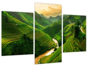 Tablou - Terase de orez Mu Cang Chai (90x60 cm)
