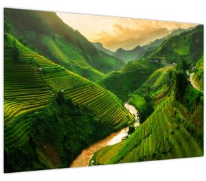 Tablou - Terase de orez Mu Cang Chai (90x60 cm)