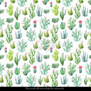 Fototapet Cacti minusculi pe un fundal alb