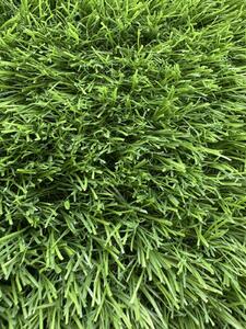 Gazon Artificial Sri Lanka, Inaltime Fir 30 mm, Latime 2m, Marime 200 x 400 cm, Verde, Antialergic, Polipropilena, Curte, Terasa, Balcon, Piscina, Loc