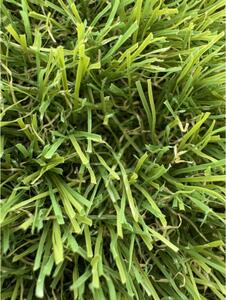 Gazon Artificial Jakarta, Inaltime Fir 30 mm, Latime 2m, Marime 200 x 200 cm, Verde cu Insertii Fire Iarba Uscata, Antialergic, Polipropilena, Curte