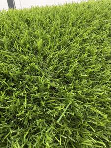 Gazon Artificial Sri Lanka, Inaltime Fir 20 mm, Latime 1m, Marime 100 x 100 cm, Verde, Antialergic, Polipropilena, Curte, Terasa, Balcon, Piscina, Loc