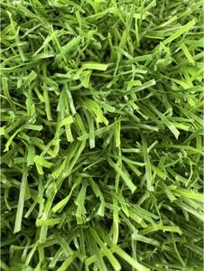 Gazon Artificial Sri Lanka, Inaltime Fir 20 mm, Latime 1m, Marime 100 x 100 cm, Verde, Antialergic, Polipropilena, Curte, Terasa, Balcon, Piscina, Loc