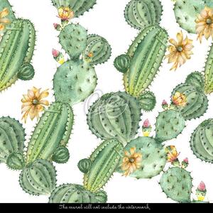 Fototapet Undeva în Mexic la Cactus