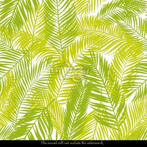 Fototapet Frunze de palmier Celadon