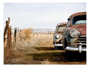 Fototapet - Two old, American cars