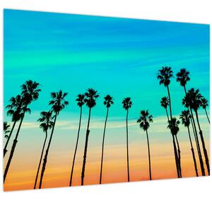 Tablou - California (70x50 cm)