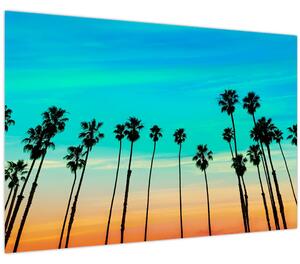 Tablou - California (90x60 cm)