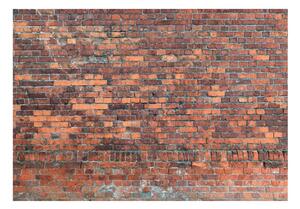 Fototapet - Vintage Wall (Red Brick)