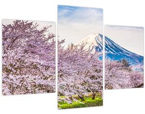 Tablou - Japonia în primăvară (90x60 cm)