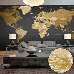 Fototapet XXL - World Map: Modern Geography II