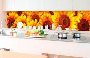 Fototapet autoadeziv pentru bucătărie floarea-soarelui