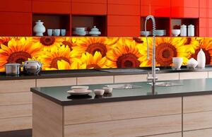 Fototapet autoadeziv pentru bucătărie floarea-soarelui