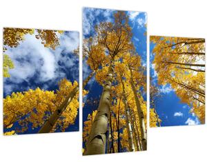 Tablou - Aspen (90x60 cm)