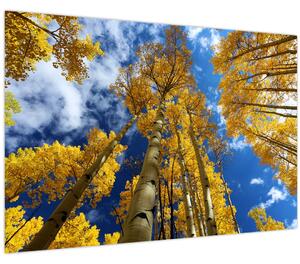Tablou - Aspen (90x60 cm)
