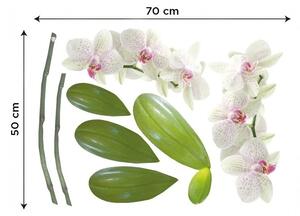 Autocolante decorative pe perete orhidee magnifică