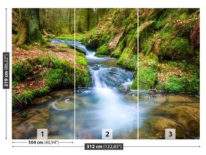 Fototapet Forest Stream