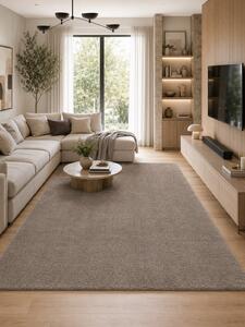 Covor Premium Belgian Soft Rimini 71481-077, Bej, Gri, Marime 160 x 230 cm, Lungime Fir 22 mm, Poliester Reciclat, Antialergic, Living, Dormitor