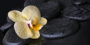 Tablou pietre Zen și orhidee galbenă