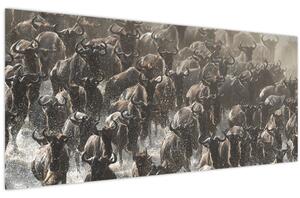 Tablou - Turmă de antilope sălbatice (120x50 cm)