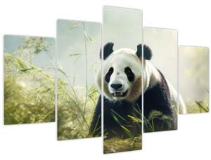 Tablou - Panda (150x105 cm)