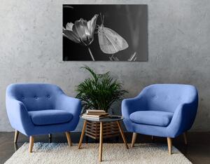 Tablou fluture pe floare alb-negru