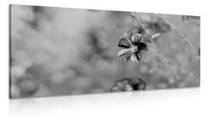 Tablou flori alb-negru