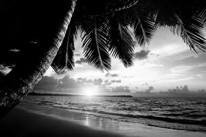 Tablou răsărit de soare pe o plajă din Caraibe alb-negru