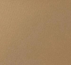 Mocheta Evenimente Belgia PLAT BEIGE, Latime 2m, Grosime 1mm, BEJ, Marime 100 x 300 cm, Antialergic, Polipropilena, Prezentari, Intalniri oficiale